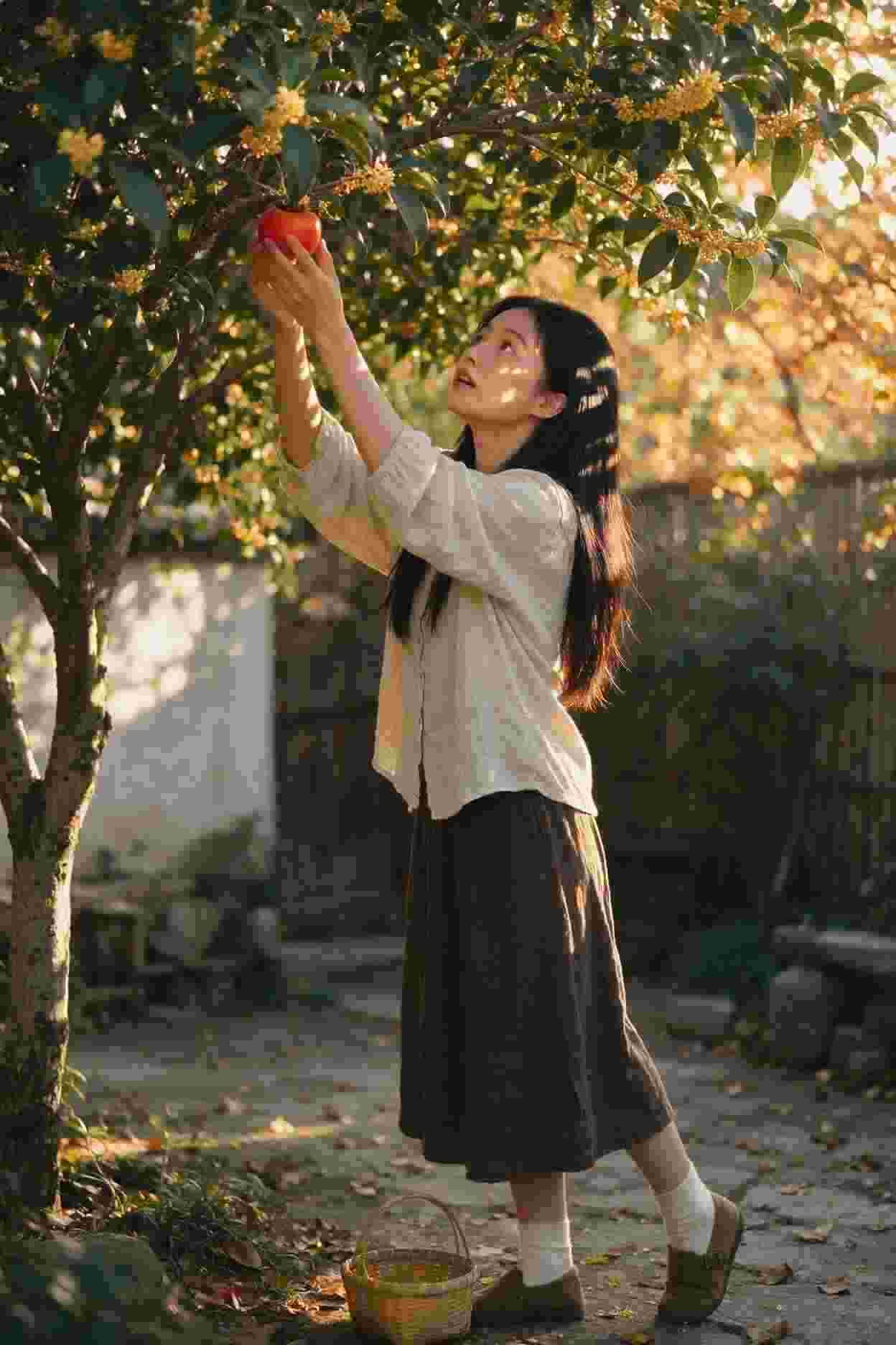 江湖儿女
